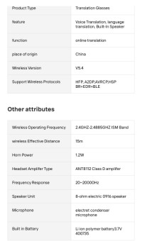 Smart Audio Glasses